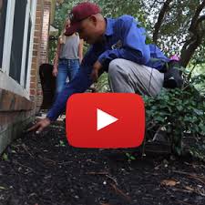 (dba abc home & commercial services of houston). The Buzz Newsletter
