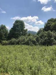 The latest from the butler homes blog. Butler Homes For Sale Butler Tn Real Estate Movoto