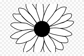 Download Daisy Flower Outline Single Flower Coloring Pages Hd Png Download 640x480 4260 Pngfind