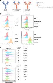 It is most often seen in older small breed dogs such as scottish terriers, west highland white terriers, dachshunds, and shetland sheepdogs and rarely identified in cats. A Pilot Clinical Study Of The Therapeutic Antibody Against Canine Pd 1 For Advanced Spontaneous Cancers In Dogs Scientific Reports