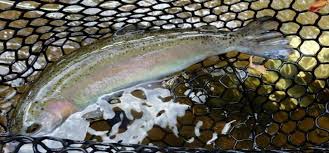 Fly Fishing The Nantahala River North Carolina