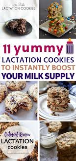 11 Yummy Lactation Cookie Recipes To Instantly Boost Your Milk Supply The Thrifty Kiwi Lactation Cookies Recipe Lactation Cookies Lactation Recipes