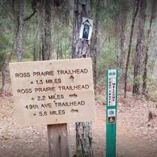 The first meadow is a 45 minute walk from the trailhead. Ocala Camping Fun 4 Ocala Kids