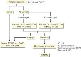 How is ovarian cancer diagnosed? Screening Algorithm Of The Zagreb Ovarian Cancer Screening Download Scientific Diagram