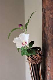 虫籠と鮎籠花入 生け花 茶花 茶道