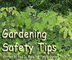 We did not find results for: Gardening Safety Tips