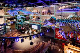 Nederlands centrum voor biodiversiteit naturalis) is a national museum of natural history and a research center on biodiversity in leiden, netherlands. A Shining Sustainable New Home For The Naturalis Biodiversity Center Pharos Controls