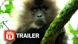 A computer hacker learns from mysterious rebels about the true nature of his reality and his role in the war. 16 Incredible Nature Documentary Series And Movies To Stream Right Now Rotten Tomatoes Movie And Tv News