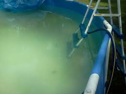 Fun and elegant dream pool. Diy Non Pressurized Sand Filter For Backyard Pools 4 Steps With Pictures Instructables