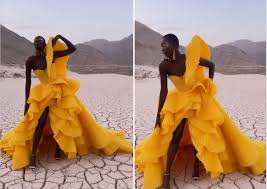 See more ideas about michael cinco, michael cinco couture, gowns. Video Miss Universe Canada To Wear Dubai Based Michael Cinco Gowns The Filipino Times