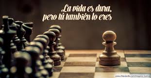 Cine fanaticos del mundo frases en el juego macabro saw. Las Mejores Imagenes De La Vida Con Frases Para Reflexionar