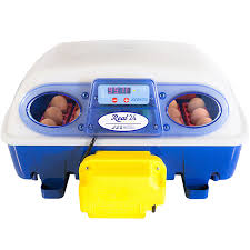 نتیجه جستجوی لغت [incubator] در گوگل