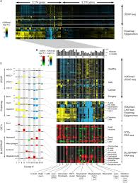 Snplanerpro netzwerkfähiger terminplaner mit adressmodul und verschiedenen. Chip Seq Of Plasma Cell Free Nucleosomes Identifies Cell Of Origin Gene Expression Programs Biorxiv