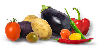 Many members of the family contain potent alkaloids, and some are highly toxic, but many. How Deadly Are Nightshades Diagnosis Diet
