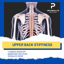 Last month i covered bones and muscles of the back, upper arm, legs, and wrist. Thoracic Spine Physical Therapy San Marcos Ca And Escondido Ca