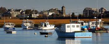 Image result for Green 2009 Fleet