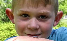 New signs for STEAM Week connect visitors to student videos describing  Eastwood Nature Area