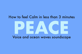 Ocean Waves Peace Mp3 Calm Voice Guide Soothing Ocean Sounds Peaceful Music Relaxing Ocean Soundscape Brain Fitness Digital Download Peaceful Words Ocean Sounds Brain Exercise
