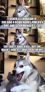 Whether or not you're a fan of wordplay, if you're a pet owner. Pavlov S Dog And Schrodinger S Cat Pun Dog Know Your Meme