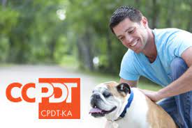 How To Become A Certified Dog Trainer - Ccpdt