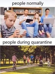 Pin By Lavender On Funny Crazy Funny Memes Really Funny Memes Really Funny