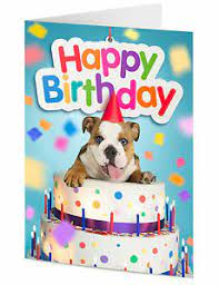 Check spelling or type a new query. Happy Birthday Englische Bulldogge Mit Party Hut Erwachst Aus Riesige Geburtstagstorte Ebay