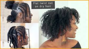 Flat Twist Out On Thin Fine Natural Hair Dry Hair Adede Fine Natural Hair Natural Hair Styles Natural Hair Twists