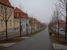 allee zum schloss ballenstedt harz deutschland ballenstedt sachsen anhalt