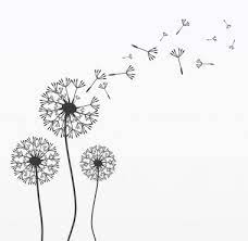Dandelion Free Vector Eps Cdr Ai Svg Vector Illustration Graphic Art