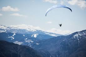 Low Angle Photography Of Person Riding Fan Powered Chair With Parachute Up In Sky Photo Free Animal Image On Unsplash