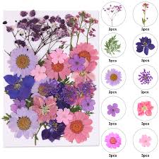Check spelling or type a new query. Dried Flowers For Resin Natural Dried Pressed Flowers For Diy Jewelry Molds Art Crafts Scrapbooking Candle Soap Making Nails Decor Buy Online In Aruba At Aruba Desertcart Com Productid 251174092