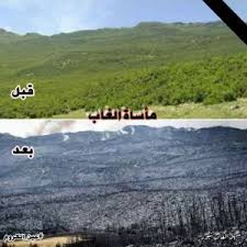 هكذا يتم تطوير منطقة الغاب A2zsyria