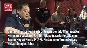 You are now browsing the page of pejabat perhilitan daerah petaling (shah alam), this is a free listing provided by newpages, malaysia no.1 business portal.pejabat perhilitan daerah petaling (shah alam) is located at jabatan perhilitan negeri selangor, jalan lanar 8/15, seksyen 8, 40000. Anggota Hidupan Liar Rm240 000 Dirampas