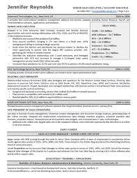 These 7200+ resume samples and examples will help you get hired in any job. Enterprise Sales Executive Resume Example