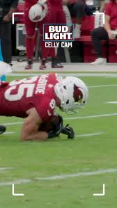 Arizona Cardinals (@azcardinals) · Tempe, AZ - Instagram