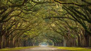 It was the site of the ancient kingdom of iberia and of the. Georgia Pictures And Facts