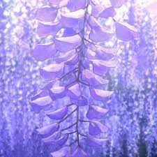210 strength, 370 focus, 85 agility, 2100 spar exp, 210 lung cap. Stream Demon Slayer Kimetsu No Yaiba Wisteria Blossom Chill Remix By Thelastodyssey Listen Online For Free On Soundcloud