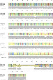 We did not find results for: Dusp8 Phosphatase Structure Functions Expression Regulation And The Role In Human Diseases Springerlink
