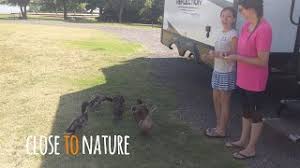Hundreds of rv parks for sale, campgrounds for sale, rv resorts for sale and marinas for sale. Lake El Reno Rv Park Reviews Updated 2021