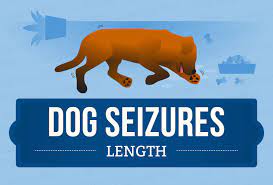 How Long Do Dog Seizures Last Canna Pet