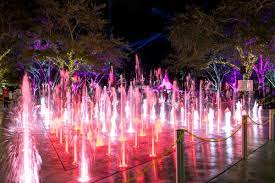 We did not find results for: City Of West Palm Beach On Twitter Tonight Is Clematis By Night Clematis By Light Which One Will You Choose A By Night B By Light C Both For Info