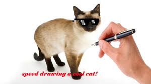 Cat drawing animal pet kitty kitten cartoon design cute art. Speed Drawing A Cool Cat Youtube