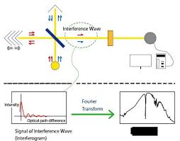 Ftir can be used on solid, liquid, and gaseous samples. Principles Of Infrared Spectroscopy 4 Advantages Of Ftir Spectroscopy Jasco Global