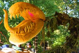 One of the biggest clones!!! Ray Villafane Carnivorous Plant Inhabitat Green Design Innovation Architecture Green Building