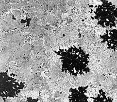 They are used to make parts where forging is expensive like, brake supports, hubs of wagon wheels etc. Cast Iron Types Microstructure And Properites Correlation