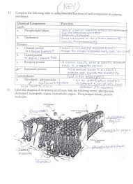 Pin On Membrane Transport