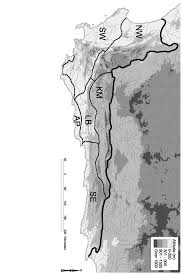 Image result for Pleopeltis  × simiana