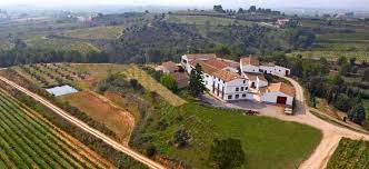 We did not find results for: Guardiola De Font Rubi Wein Und Grillmenutour Getyourguide