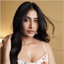 Pierce Brosnan says was cheated by pan masala brand