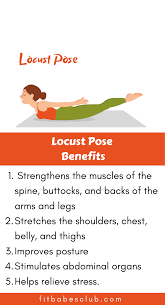 How To Do Locust Pose And Benefits Yoga Information Workout For Beginners Yoga For Beginners